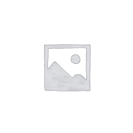 Elan Primetime 33 2026 - New (incl. binding)